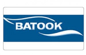 Batook